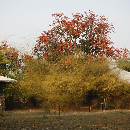 Renest Bandhavgarh Meadows Hotel Tāla Exterior foto