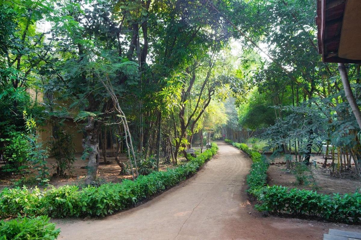 Renest Bandhavgarh Meadows Hotel Tāla Exterior foto