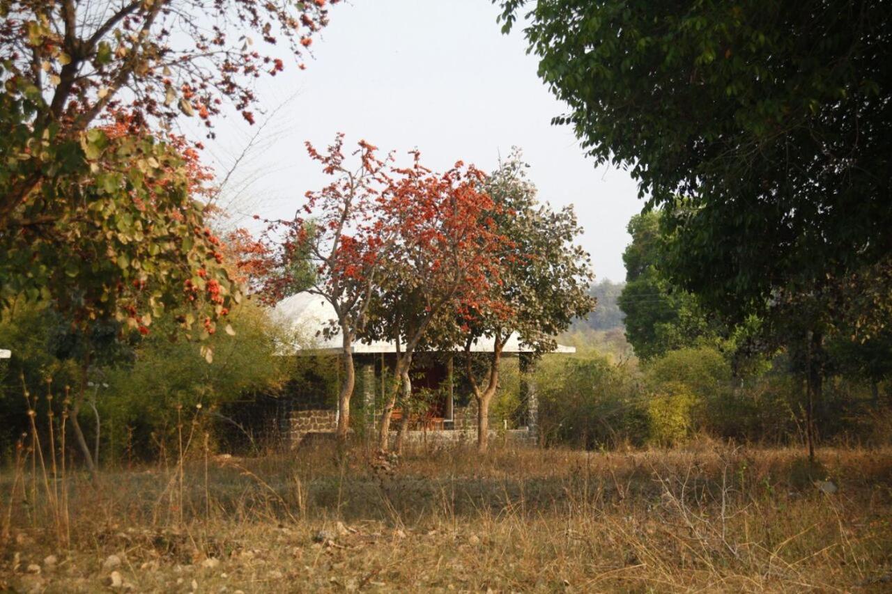 Renest Bandhavgarh Meadows Hotel Tāla Exterior foto