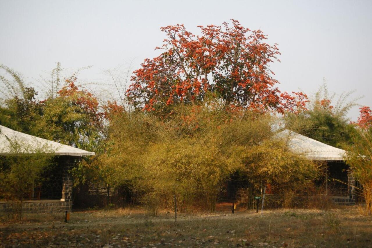 Renest Bandhavgarh Meadows Hotel Tāla Exterior foto